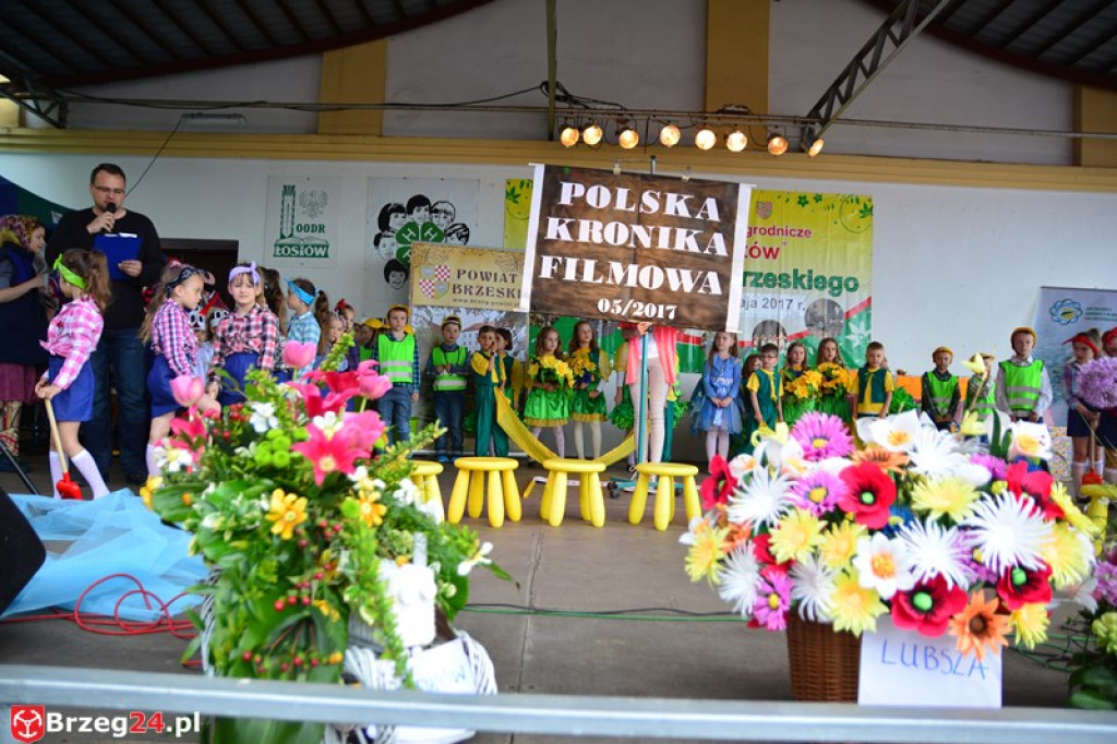 Święto Powiatu Brzeskiego dzień 1. [fotorelacja]
