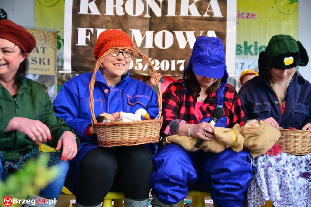 Święto Powiatu Brzeskiego dzień 1. [fotorelacja]