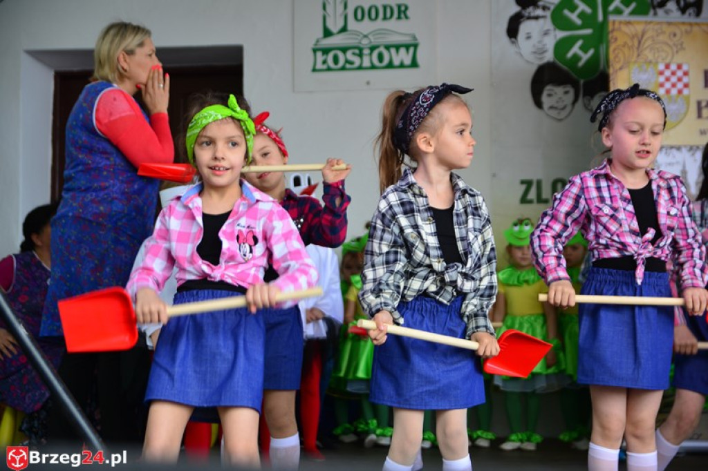 Święto Powiatu Brzeskiego dzień 1. [fotorelacja]