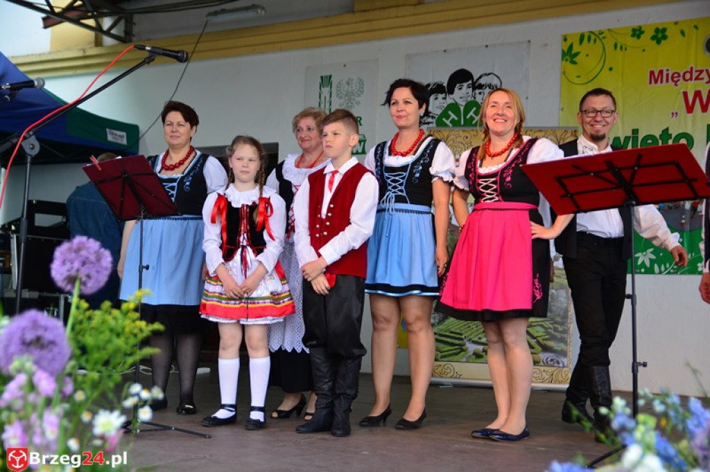 Święto Powiatu Brzeskiego dzień 1. [fotorelacja]