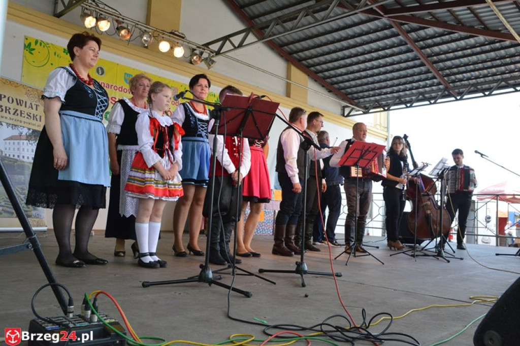 Święto Powiatu Brzeskiego dzień 1. [fotorelacja]