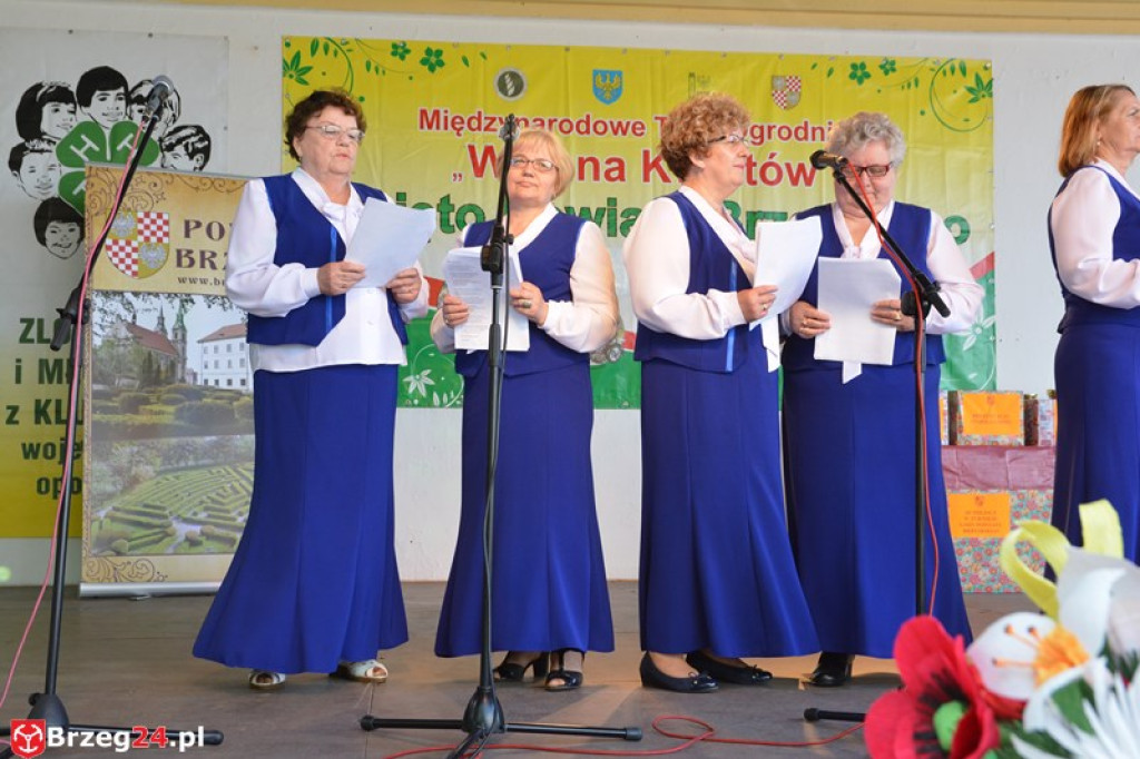 Święto Powiatu Brzeskiego dzień 1. [fotorelacja]