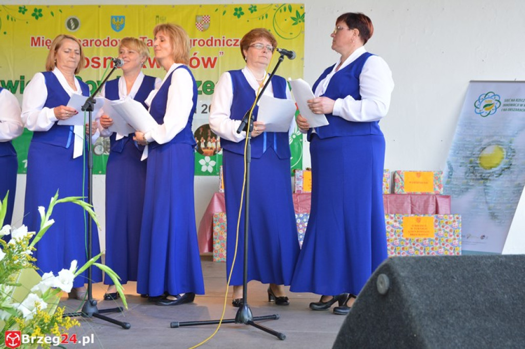 Święto Powiatu Brzeskiego dzień 1. [fotorelacja]