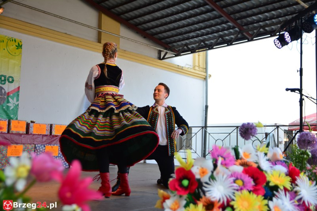 Święto Powiatu Brzeskiego dzień 1. [fotorelacja]