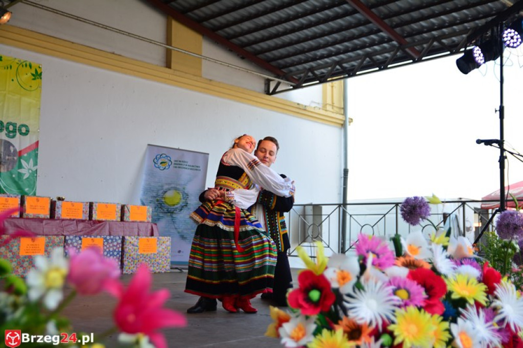 Święto Powiatu Brzeskiego dzień 1. [fotorelacja]