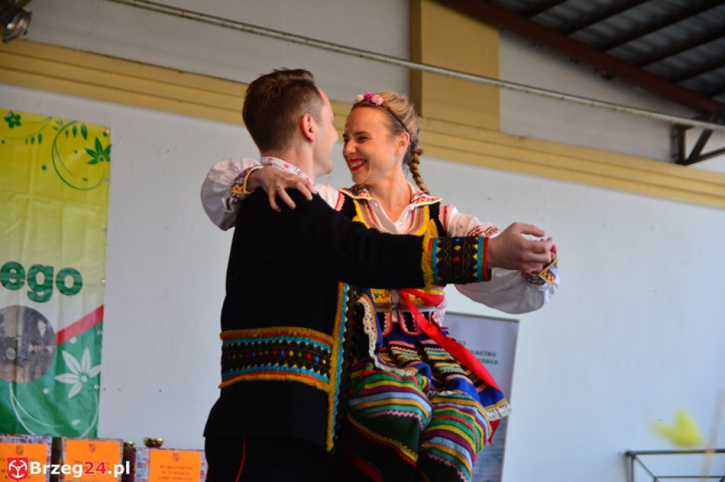 Święto Powiatu Brzeskiego dzień 1. [fotorelacja]