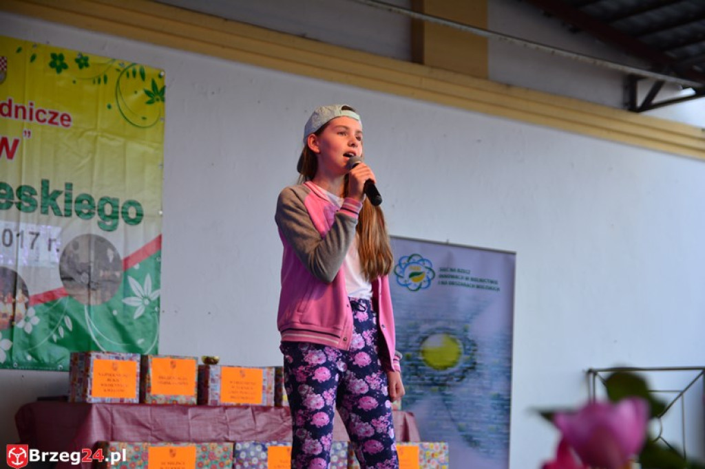 Święto Powiatu Brzeskiego dzień 1. [fotorelacja]