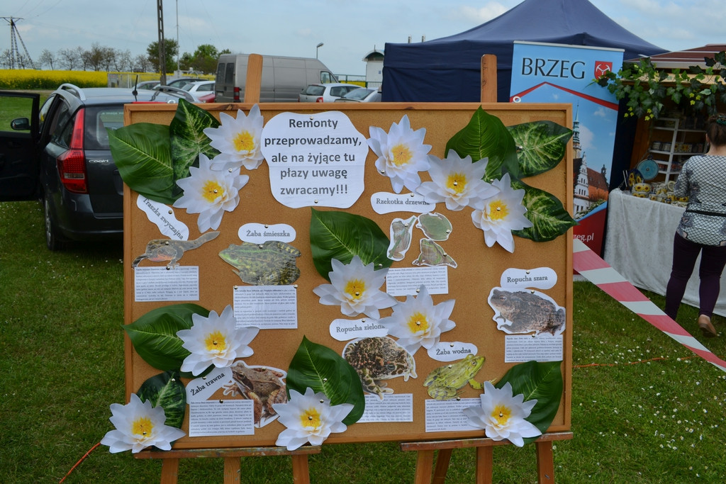 Gmina Lewin Brzeski najlepsza w powiecie!