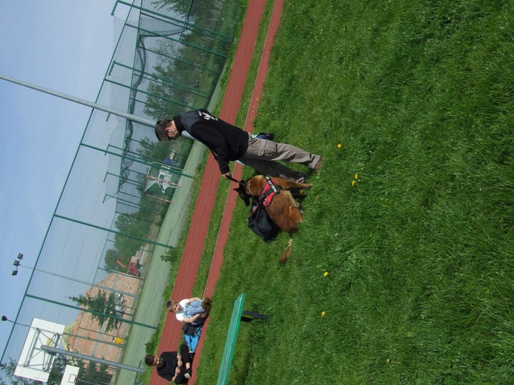 Innowacyjnie i przedsiębiorczo w ÓSEMCE