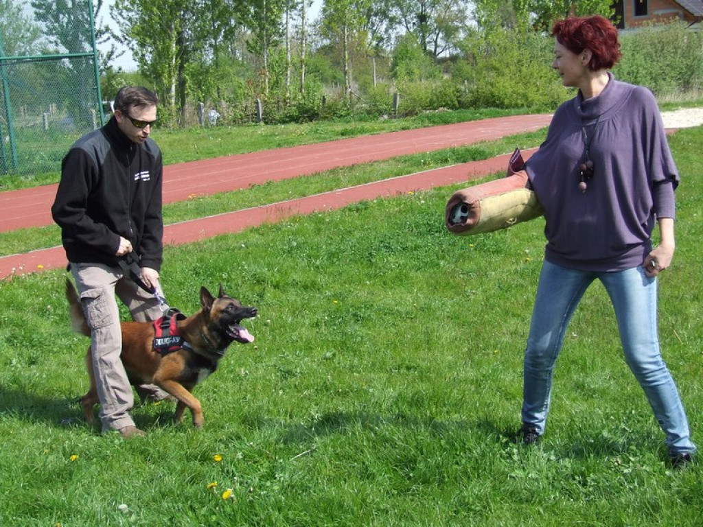 Innowacyjnie i przedsiębiorczo w ÓSEMCE