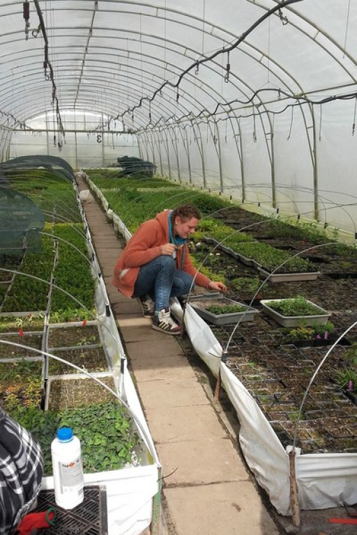 Dni Kariery w Publicznej Szkole Podstawowej nr 1 w Brzegu. Zawód: OGRODNIK