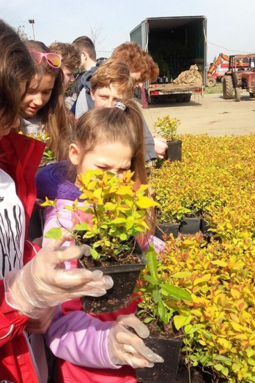 Dni Kariery w Publicznej Szkole Podstawowej nr 1 w Brzegu. Zawód: OGRODNIK