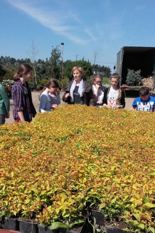 Dni Kariery w Publicznej Szkole Podstawowej nr 1 w Brzegu. Zawód: OGRODNIK