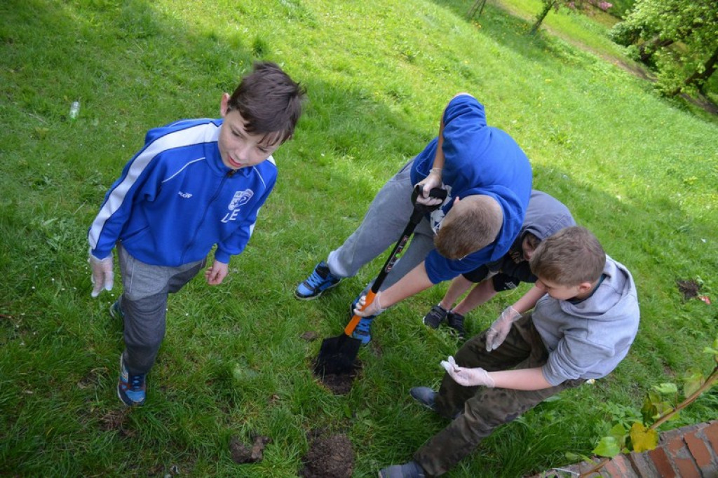 Dni Kariery w Publicznej Szkole Podstawowej nr 1 w Brzegu. Zawód: OGRODNIK