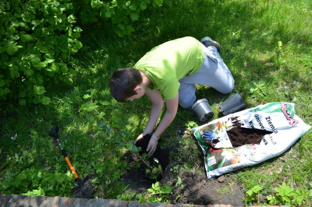 Dni Kariery w Publicznej Szkole Podstawowej nr 1 w Brzegu. Zawód: OGRODNIK