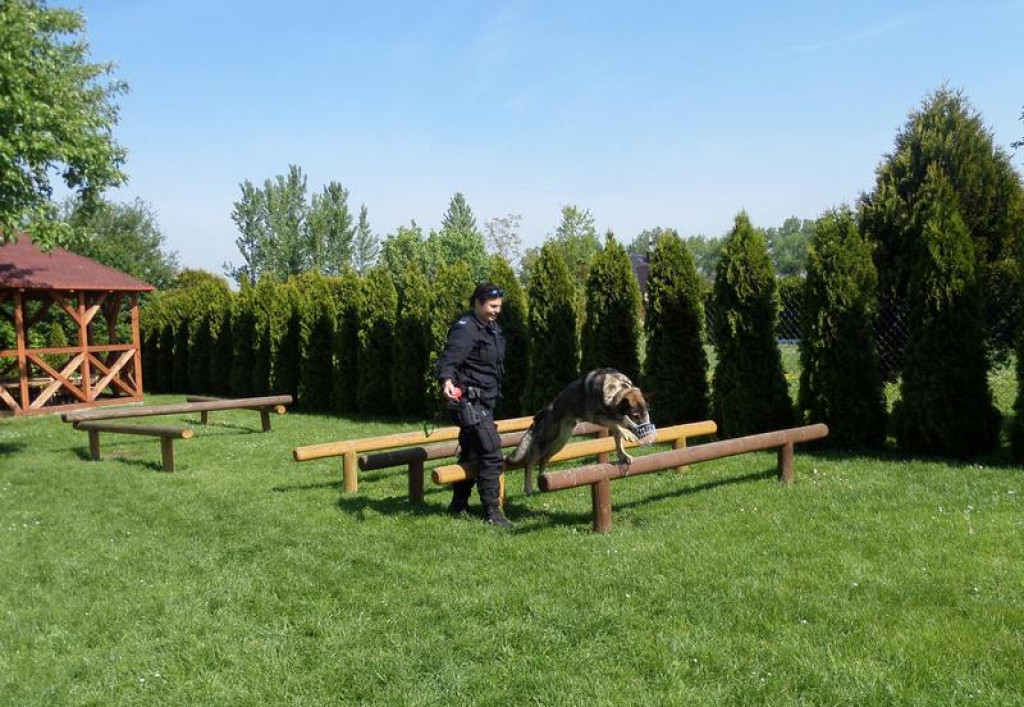 Policjanci rozmawiali z dziećmi i rodzicami o bezpiecznej podróży