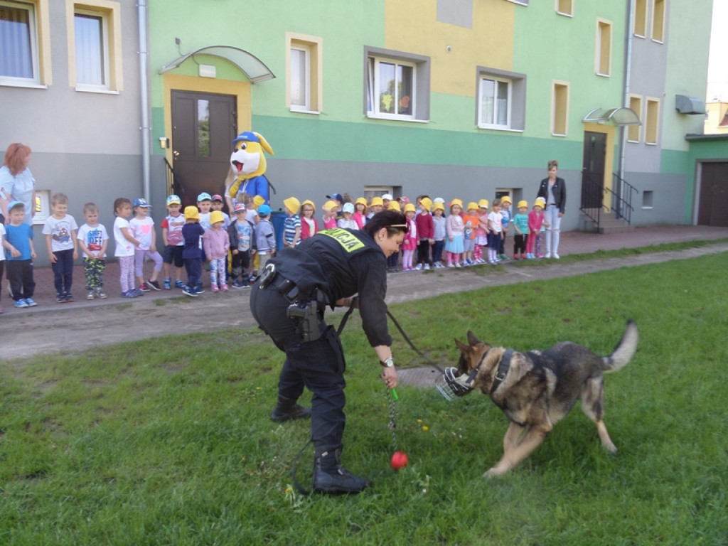 W PRZEDSZKOLU PUBLICZNYM NR 3 W BRZEGU OBCHODZONO OGÓLNOPOLSKIE DNI BEZPIECZNYCH PRZEDSZKOLI