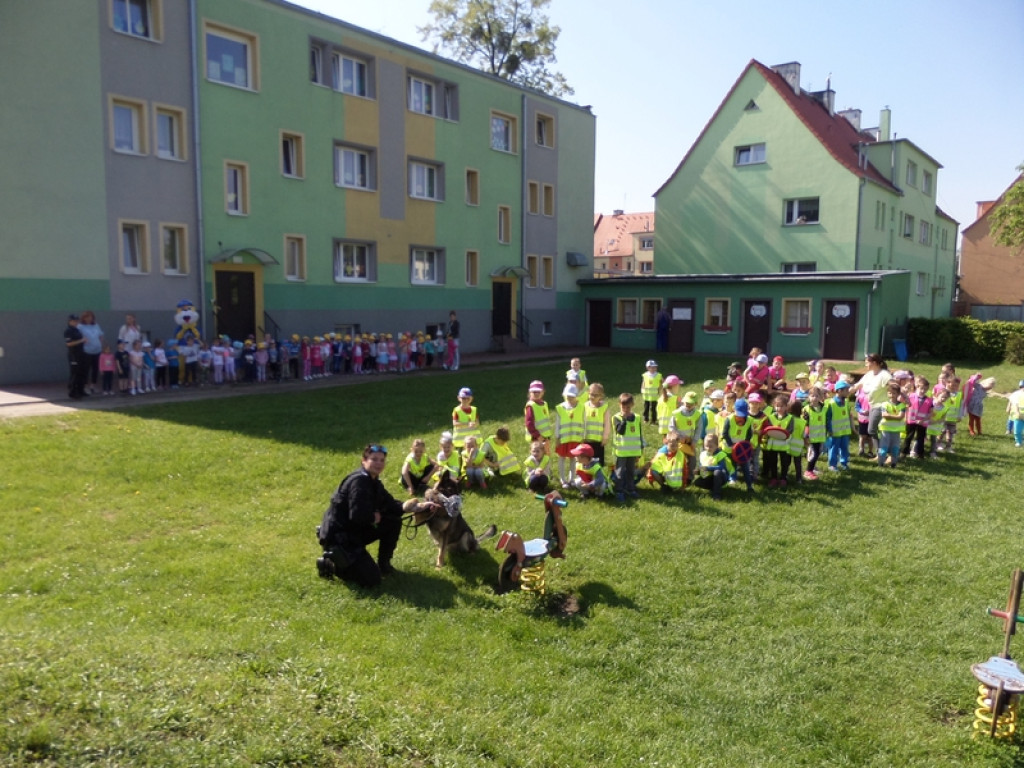 W PRZEDSZKOLU PUBLICZNYM NR 3 W BRZEGU OBCHODZONO OGÓLNOPOLSKIE DNI BEZPIECZNYCH PRZEDSZKOLI