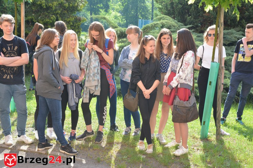 Gimnazjada 2017, czyli 