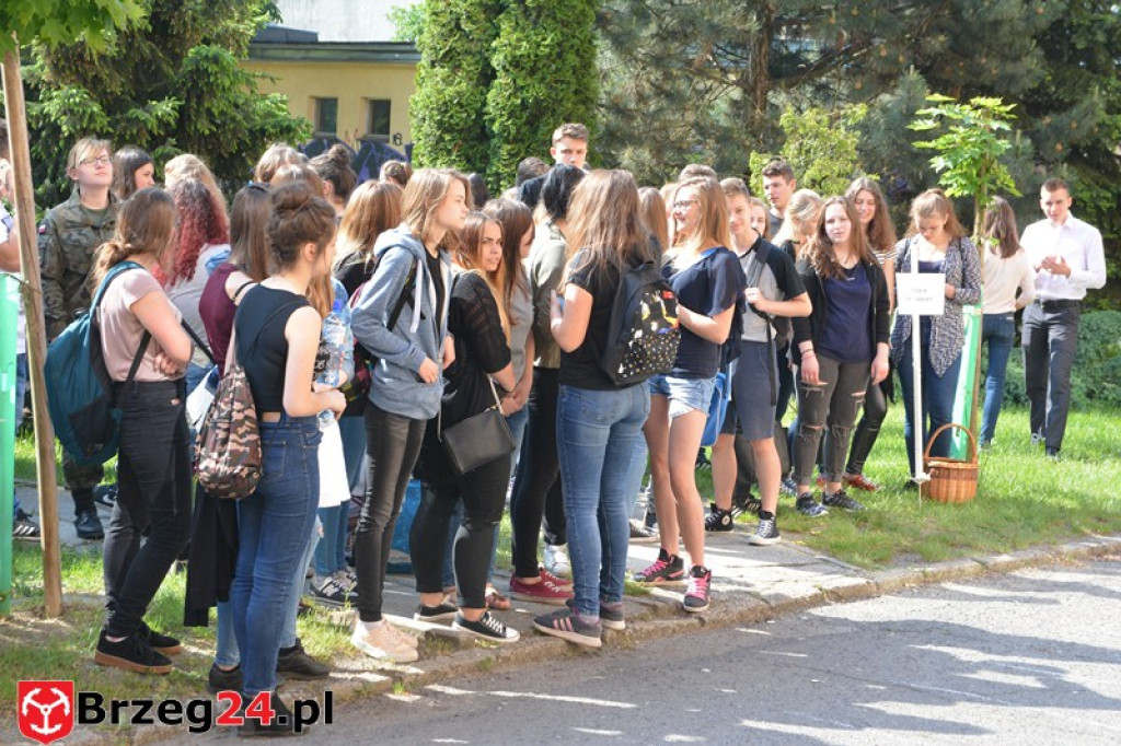 Gimnazjada 2017, czyli 