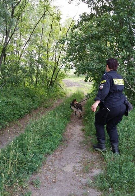 Wspólne ćwiczenia policjantów ze służbami ratowniczymi