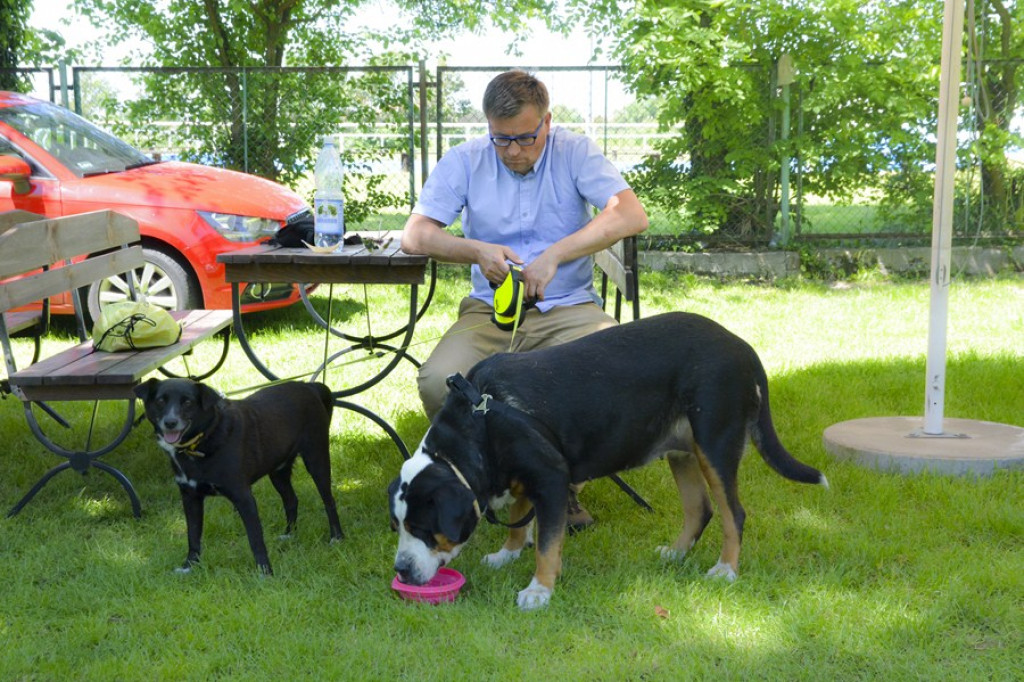 Wspomagamy Miski V PSYjdz Na Grila - 28.05.2017 [fotorelacja]