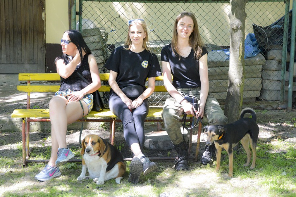 Wspomagamy Miski V PSYjdz Na Grila - 28.05.2017 [fotorelacja]