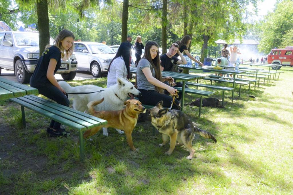 Wspomagamy Miski V PSYjdz Na Grila - 28.05.2017 [fotorelacja]