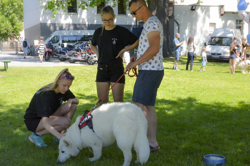 Wspomagamy Miski V PSYjdz Na Grila - 28.05.2017 [fotorelacja]