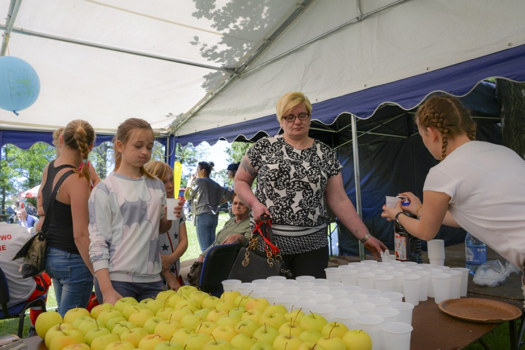 Wspomagamy Miski V PSYjdz Na Grila - 28.05.2017 [fotorelacja]