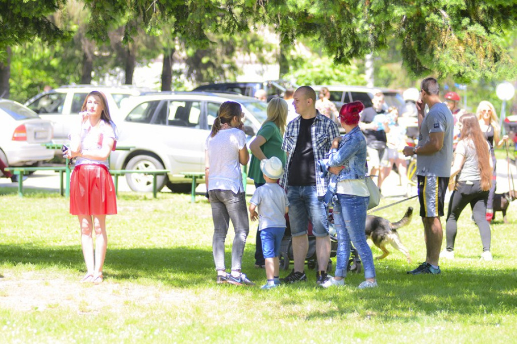 Wspomagamy Miski V PSYjdz Na Grila - 28.05.2017 [fotorelacja]