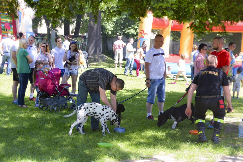 Wspomagamy Miski V PSYjdz Na Grila - 28.05.2017 [fotorelacja]