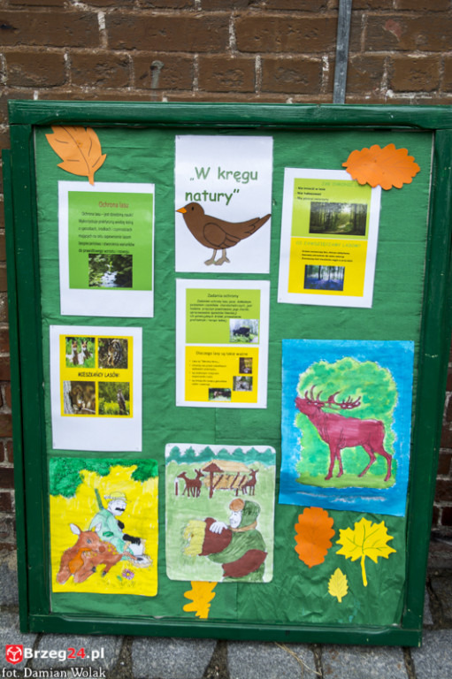 VI Festiwal Piosenki Wakacyjnej pod hasłem Lato w SOSW Grodków