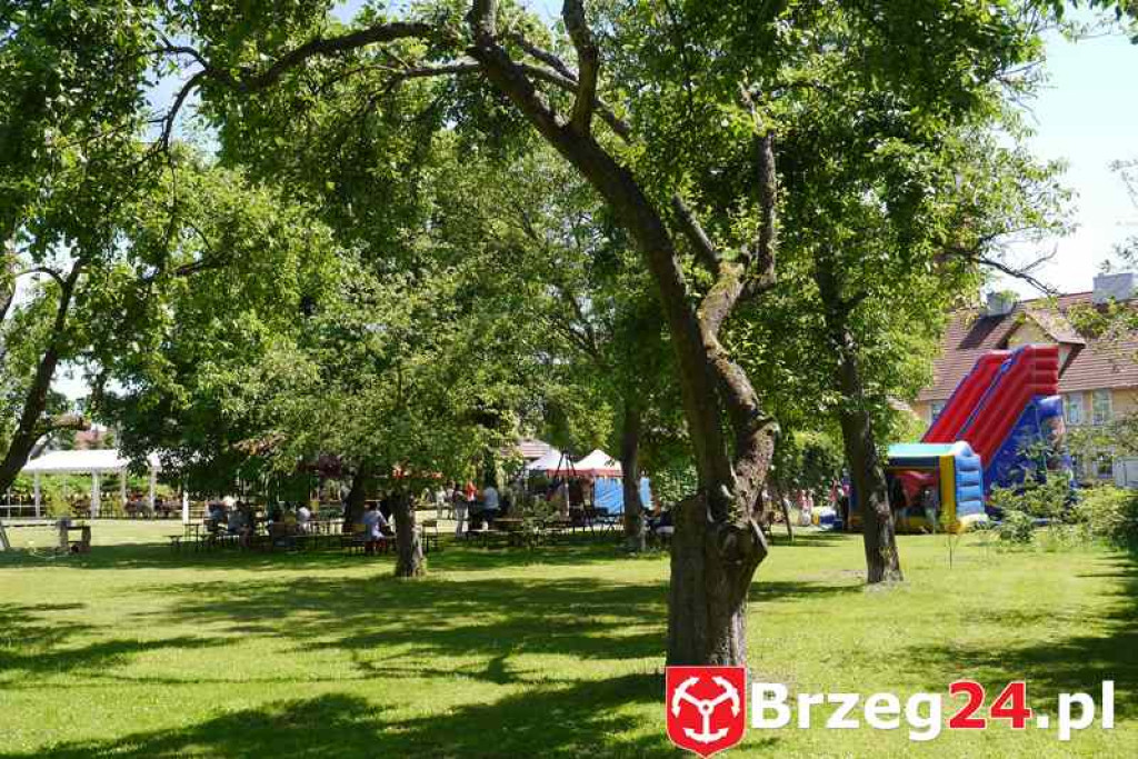 Radość dzieci w Szydłowicach - FOTORELACJA z festynu zorganizowanego z okazji Dnia Dziecka.