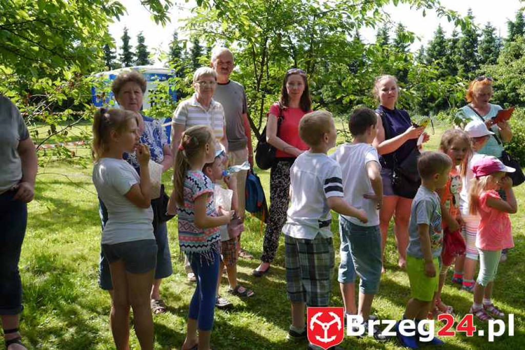 Radość dzieci w Szydłowicach - FOTORELACJA z festynu zorganizowanego z okazji Dnia Dziecka.