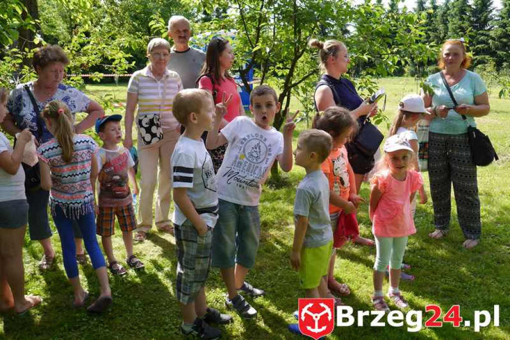 Radość dzieci w Szydłowicach - FOTORELACJA z festynu zorganizowanego z okazji Dnia Dziecka.