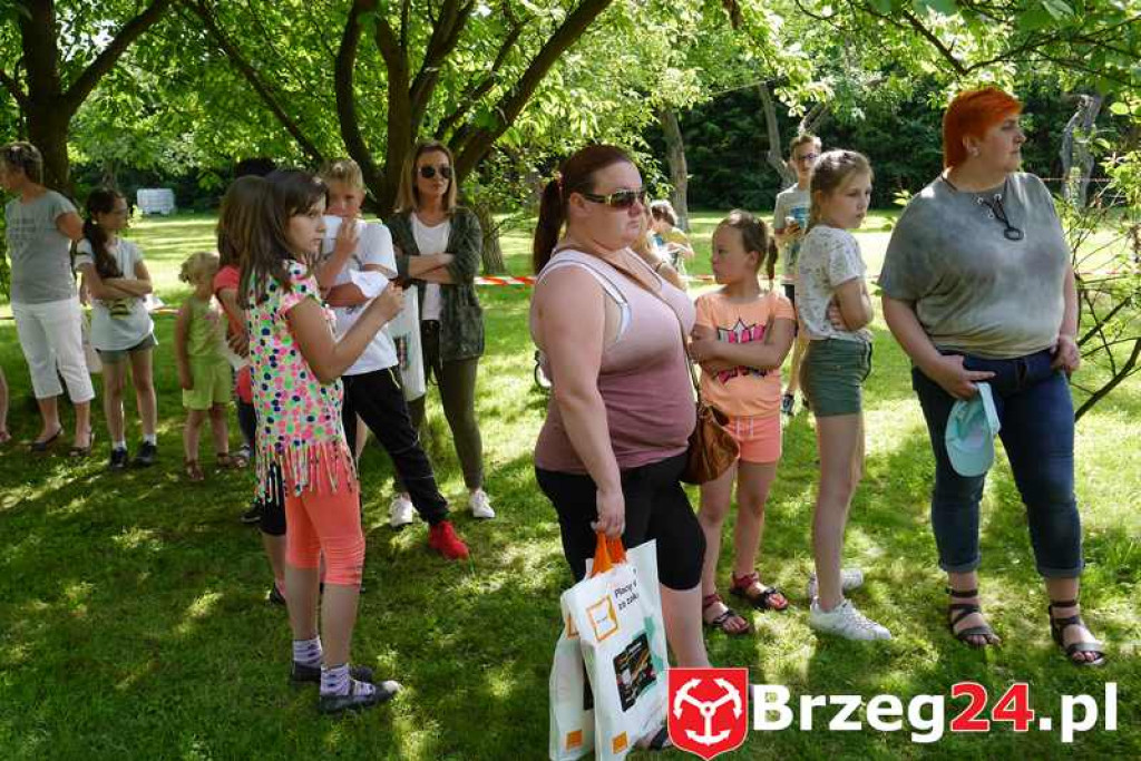 Radość dzieci w Szydłowicach - FOTORELACJA z festynu zorganizowanego z okazji Dnia Dziecka.