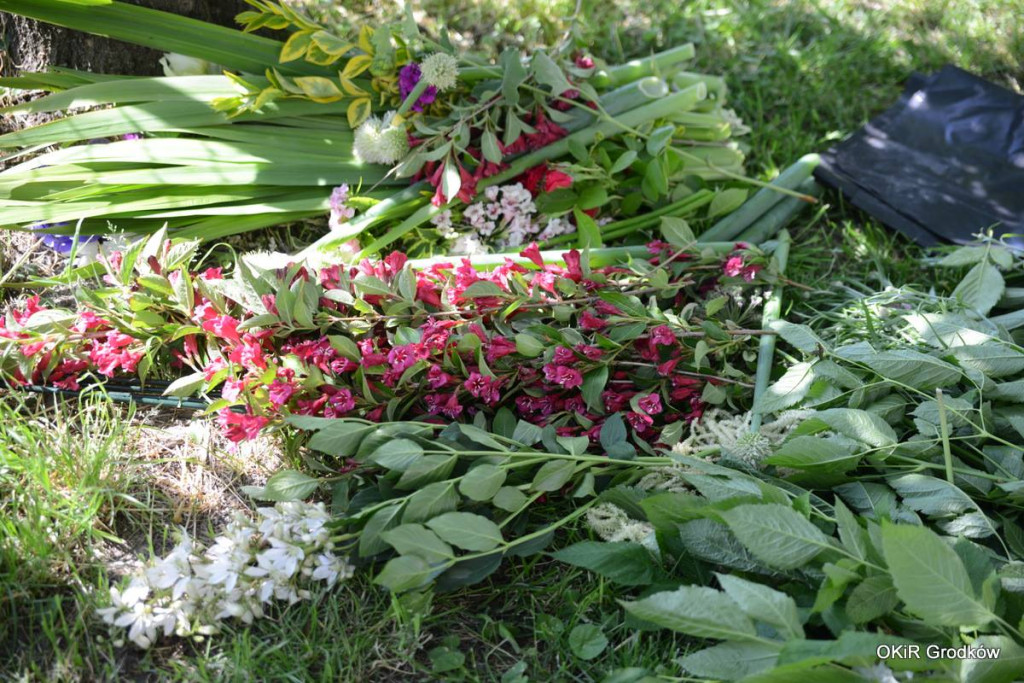 Dni Grodkowa dzień drugi [fotorelacja]