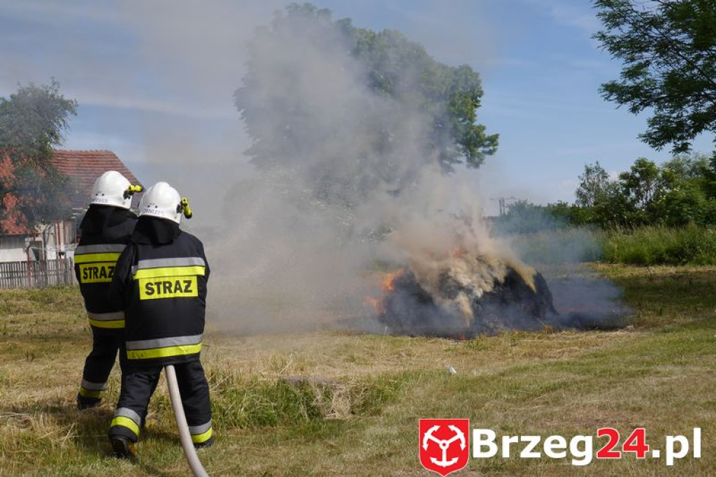 Radość dzieci w Szydłowicach - FOTORELACJA z festynu zorganizowanego z okazji Dnia Dziecka.