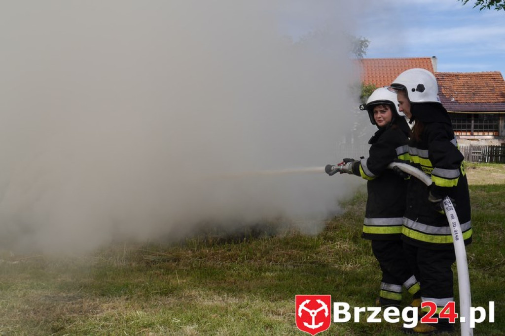 Radość dzieci w Szydłowicach - FOTORELACJA z festynu zorganizowanego z okazji Dnia Dziecka.