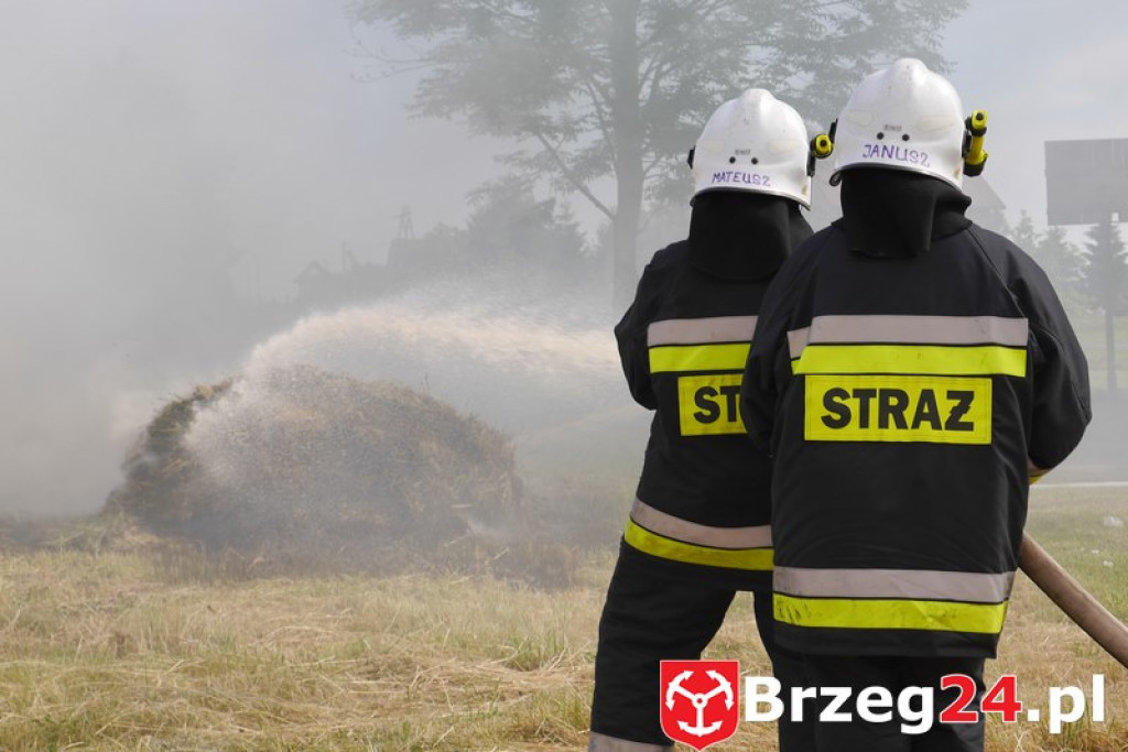 Radość dzieci w Szydłowicach - FOTORELACJA z festynu zorganizowanego z okazji Dnia Dziecka.