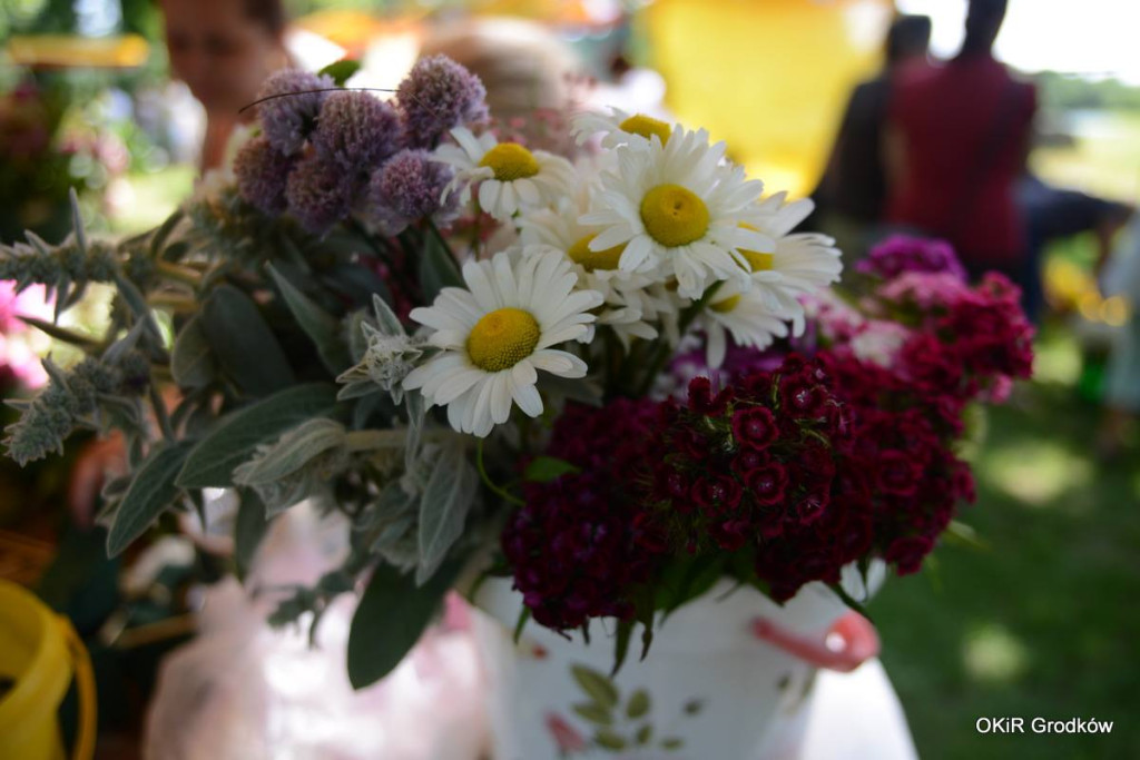 Dni Grodkowa dzień drugi [fotorelacja]