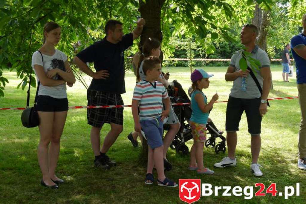 Radość dzieci w Szydłowicach - FOTORELACJA z festynu zorganizowanego z okazji Dnia Dziecka.