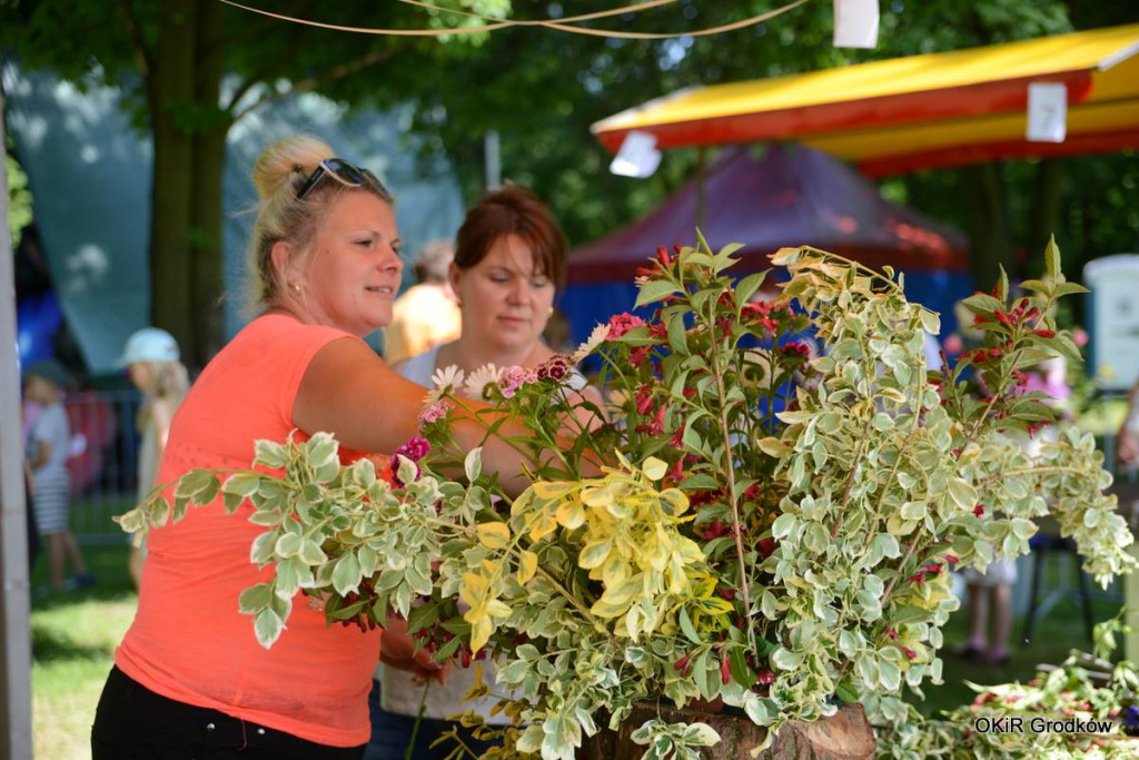 Dni Grodkowa dzień drugi [fotorelacja]