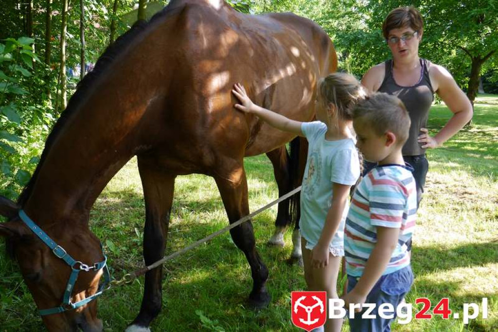 Radość dzieci w Szydłowicach - FOTORELACJA z festynu zorganizowanego z okazji Dnia Dziecka.