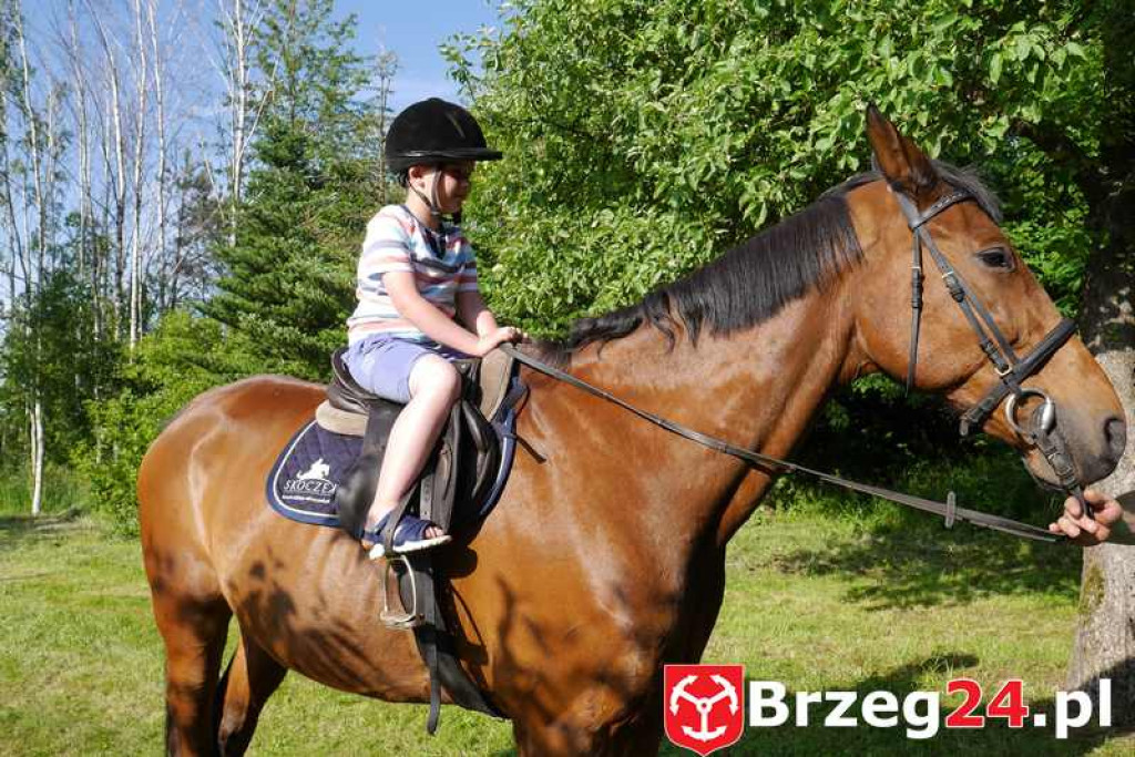 Radość dzieci w Szydłowicach - FOTORELACJA z festynu zorganizowanego z okazji Dnia Dziecka.