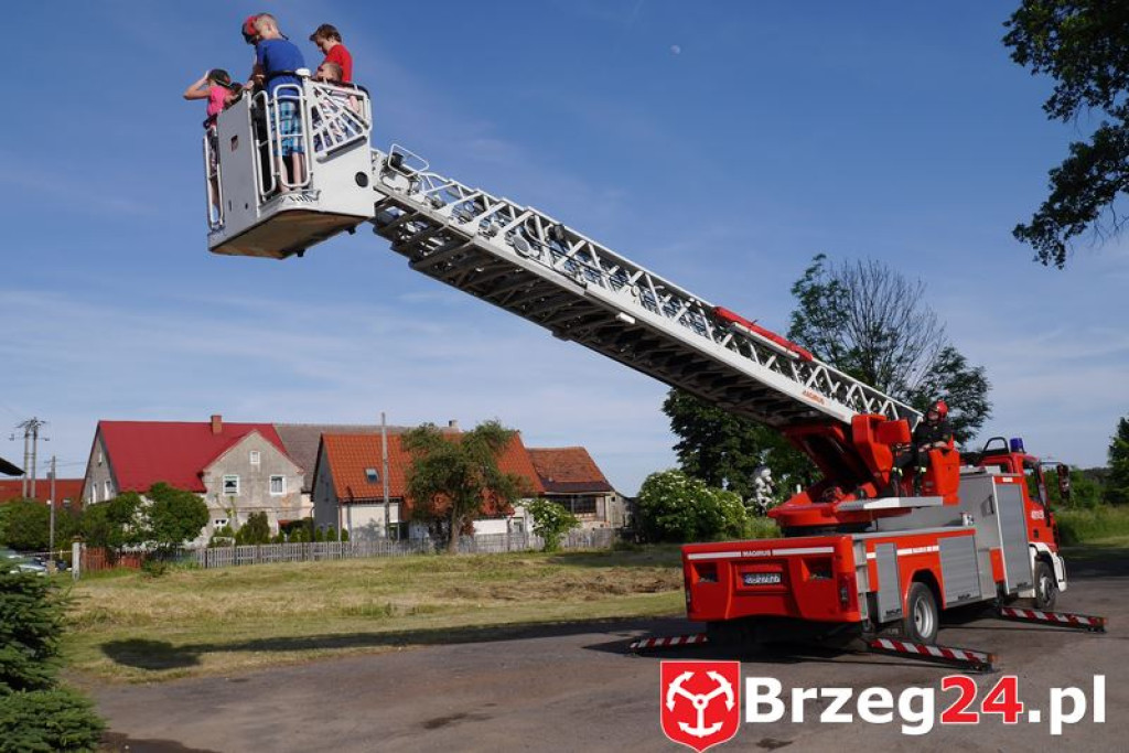 Radość dzieci w Szydłowicach - FOTORELACJA z festynu zorganizowanego z okazji Dnia Dziecka.