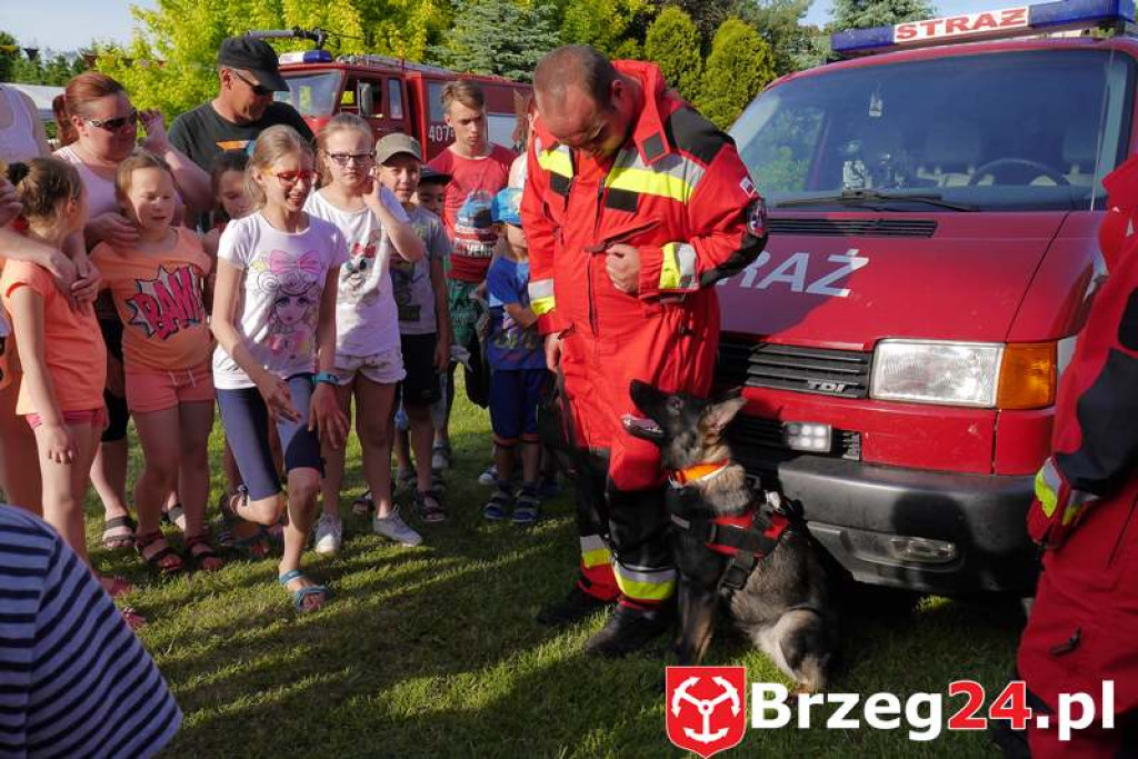 Radość dzieci w Szydłowicach - FOTORELACJA z festynu zorganizowanego z okazji Dnia Dziecka.