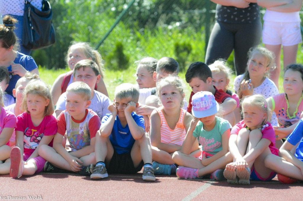 XXIII Bieg Olimpijski w Jędrzejowie [zdjęcia]