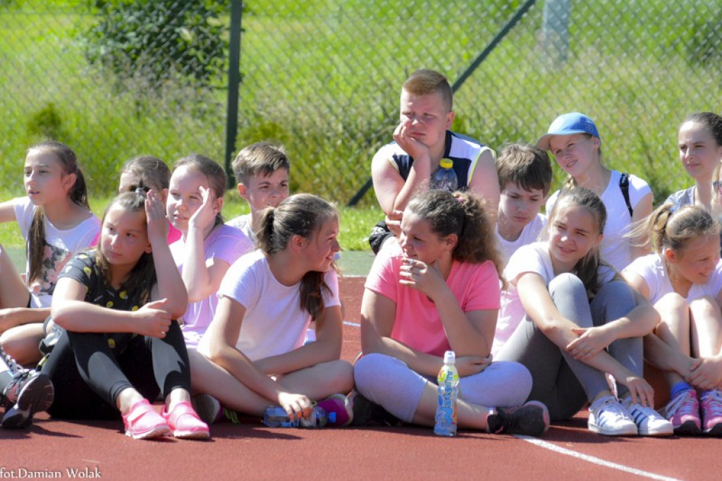 XXIII Bieg Olimpijski w Jędrzejowie [zdjęcia]